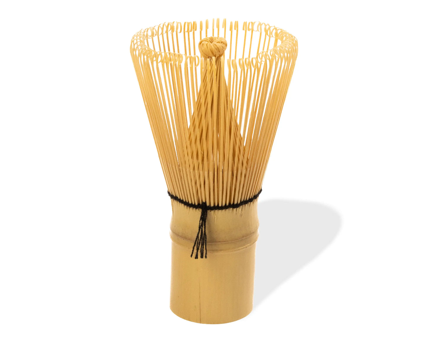 Chasen - 100 prongs